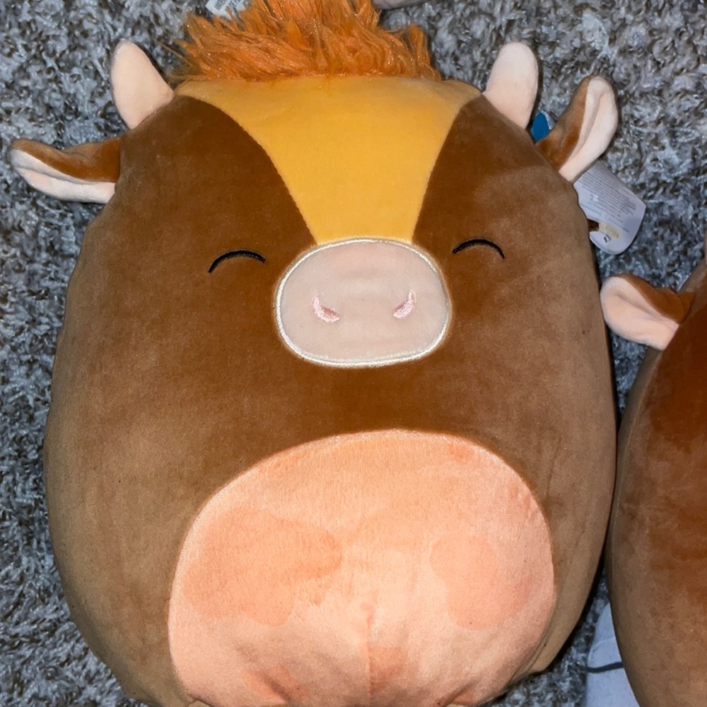 Squishmallows squinick